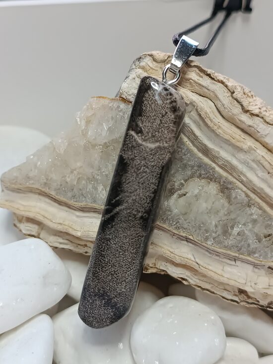 Pārakmeņojies koks(62 x 13 mm)