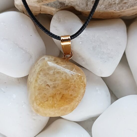 Burtnieku akmens kulons