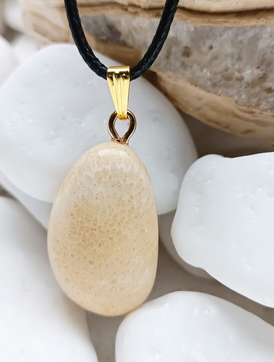 Burtnieku akmens kulons