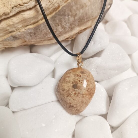 Burtnieku akmens kulons